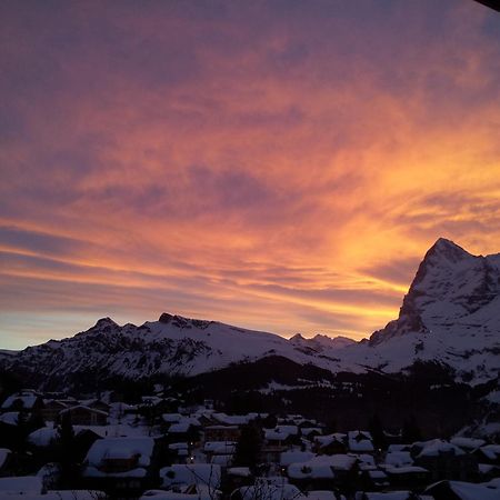 Chalet Schoenbuehl Mürren Kültér fotó