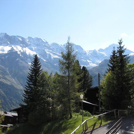 Chalet Schoenbuehl Mürren Kültér fotó