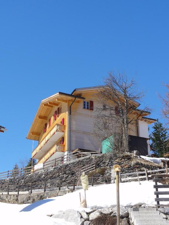 Chalet Schoenbuehl Mürren Kültér fotó