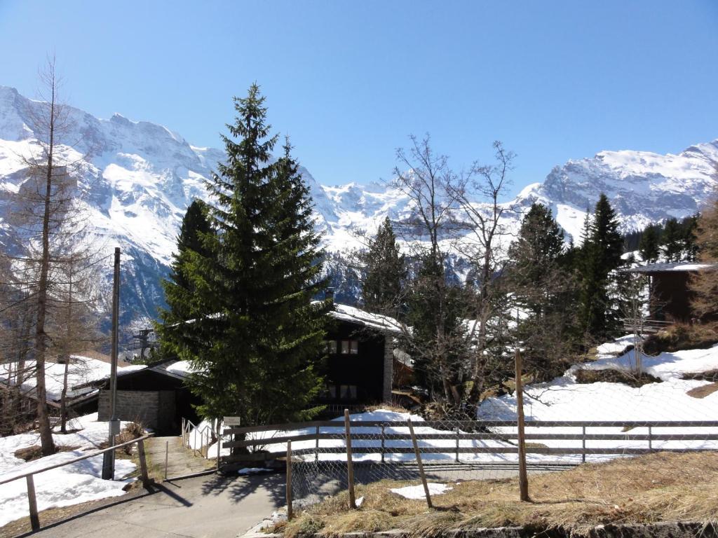 Chalet Schoenbuehl Mürren Kültér fotó