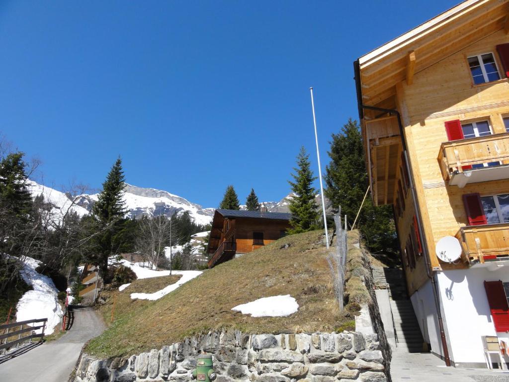 Chalet Schoenbuehl Mürren Kültér fotó