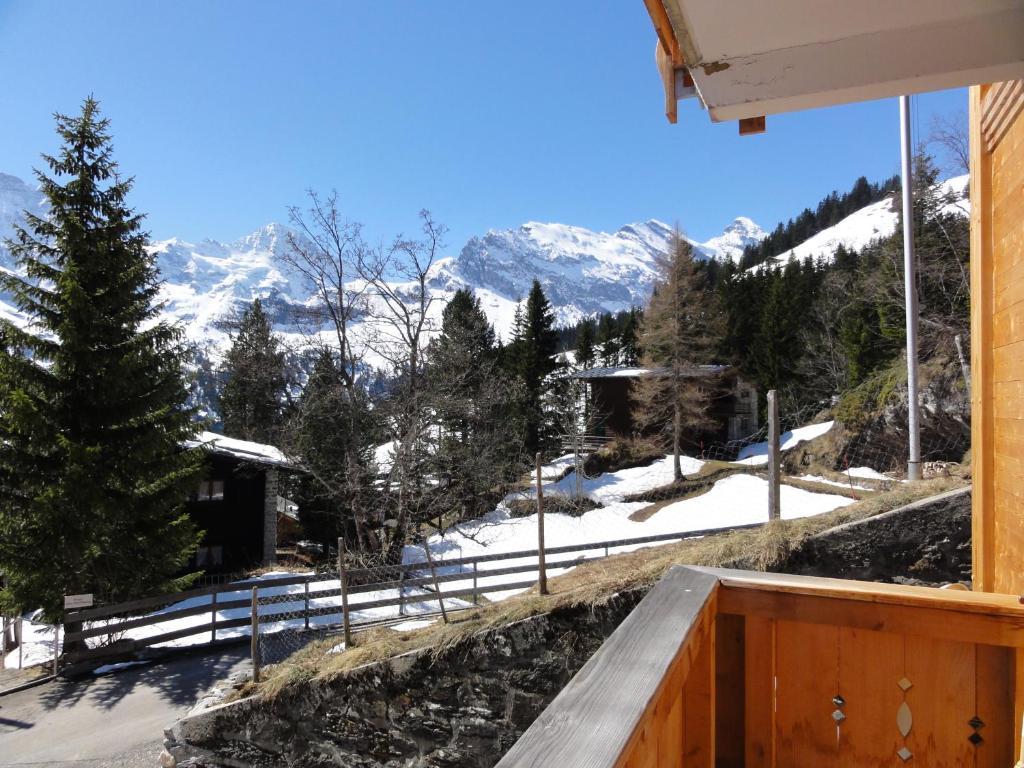 Chalet Schoenbuehl Mürren Kültér fotó