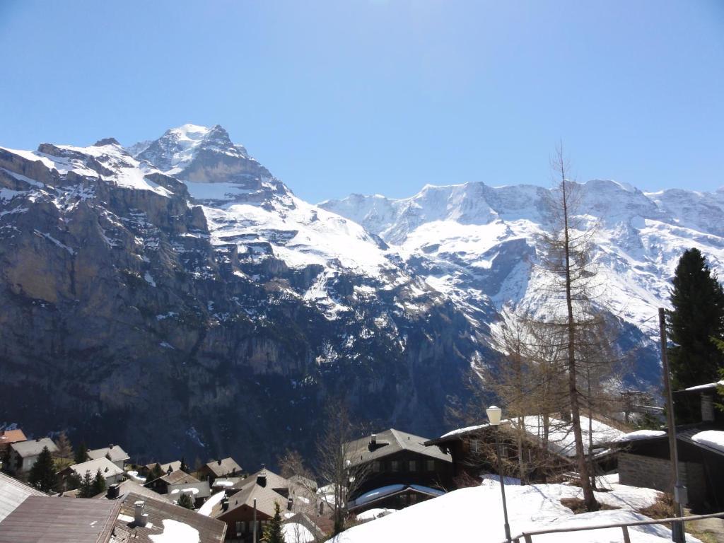 Chalet Schoenbuehl Mürren Kültér fotó