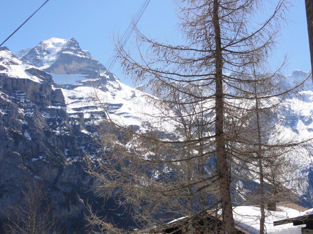 Chalet Schoenbuehl Mürren Kültér fotó